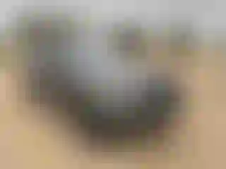 Vehicle Image- 2018 Land Rover Discovery