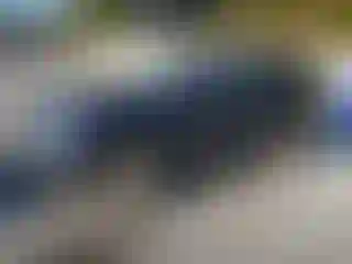 Vehicle Image- 2016 Land Rover Discovery