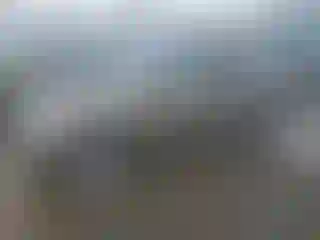 Vehicle Image- 2016 Land Rover Discovery