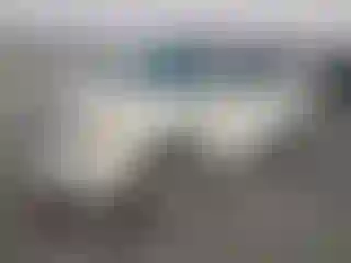 Vehicle Image- 2011 Land Rover LR2