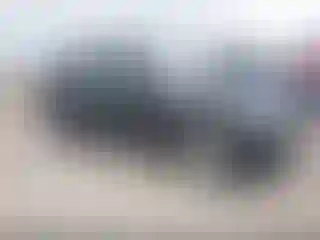 Vehicle Image- 2016 Land Rover Range Rover