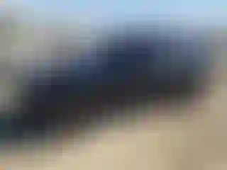 Vehicle Image- 2016 Land Rover Range Rover