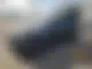 Vehicle Image- 2017 Land Rover Range Rover