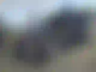 Vehicle Image- 2019 Land Rover Range Rover