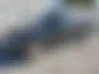 Vehicle Image- 2016 Land Rover Range Rover