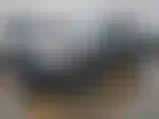 Vehicle Image- 2014 Land Rover Range Rover