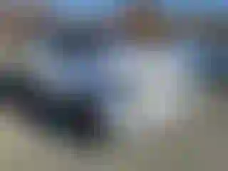 Vehicle Image- 2015 Land Rover Range Rover