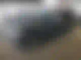 Vehicle Image- 2005 Land Rover Range Rover