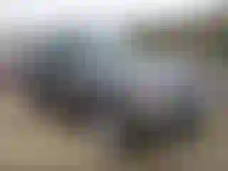 Vehicle Image- 2004 Land Rover Range Rover