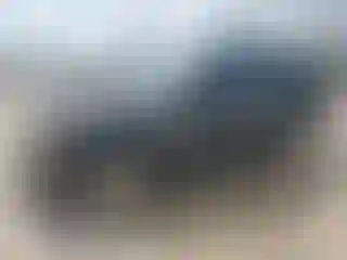 Vehicle Image- 2006 Land Rover Range Rover