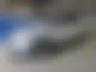 Vehicle Image- 2019 Land Rover Discovery