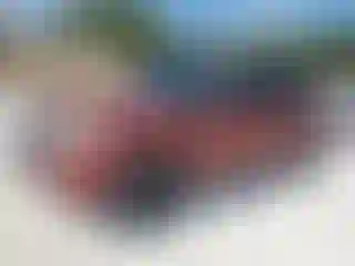 Vehicle Image- 2006 Land Rover Range Rover