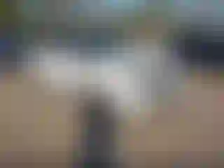 Vehicle Image- 2012 Land Rover Range Rover