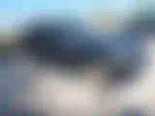 Vehicle Image- 2010 Land Rover Range Rover