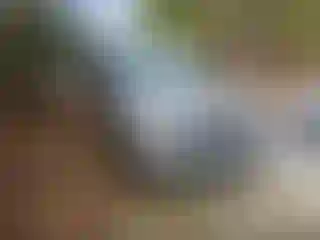 Vehicle Image- 2013 Land Rover Range Rover