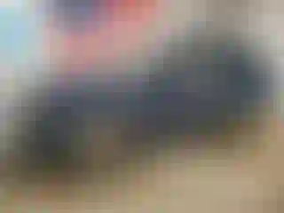 Vehicle Image- 2013 Land Rover Range Rover