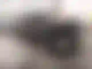 Vehicle Image- 2013 Land Rover Range Rover