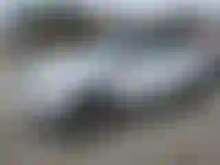 Vehicle Image- 2015 Land Rover Range Rover