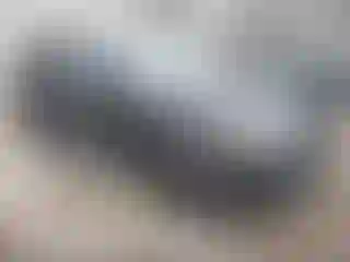 Vehicle Image- 2014 Land Rover Range Rover