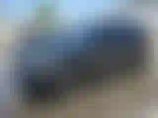 Vehicle Image- 2016 Land Rover Range Rover