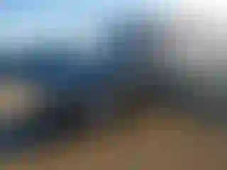 Vehicle Image- 2016 Land Rover Range Rover