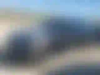 Vehicle Image- 2019 Land Rover Range Rover