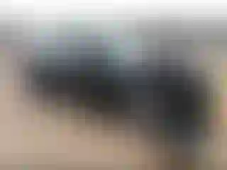 Vehicle Image- 2020 Land Rover Range Rover