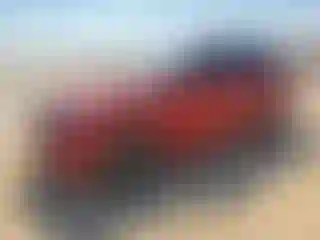 Vehicle Image- 2017 Land Rover Range Rover