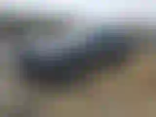 Vehicle Image- 2019 Land Rover Range Rover