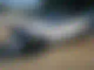 Vehicle Image- 2025 Land Rover Range Rover