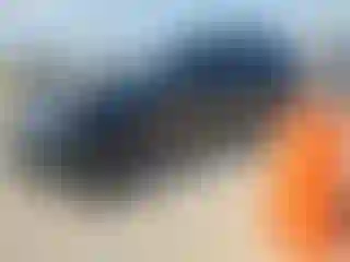 Vehicle Image- 2019 Land Rover Range Rover