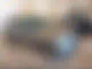 Vehicle Image- 2023 Land Rover Range Rover