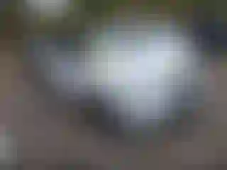 Vehicle Image- 2020 Land Rover Range Rover