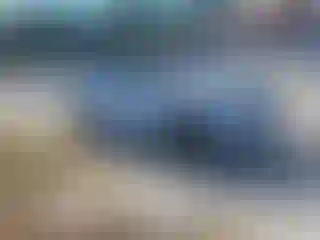 Vehicle Image- 2020 Land Rover Range Rover