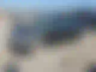 Vehicle Image- 2002 Honda Civic