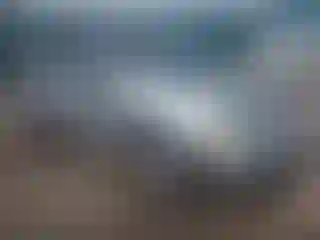 Vehicle Image- 2005 Honda Civic