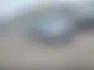 Vehicle Image- 2004 Honda Civic