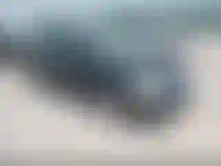 Vehicle Image- 2002 Honda Civic