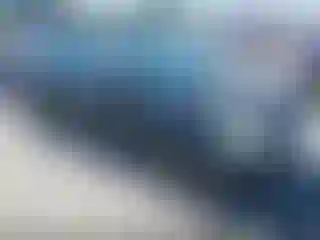 Vehicle Image- 2002 Honda Civic
