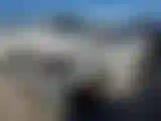 Vehicle Image- 2020 Honda Civic