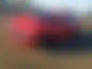 Vehicle Image- 2019 Honda Civic