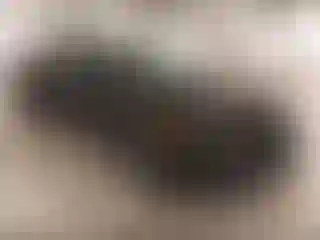 Vehicle Image- 2021 Honda Civic