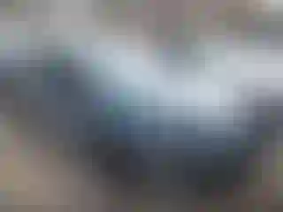 Vehicle Image- 2019 Honda Civic
