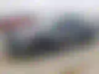 Vehicle Image- 2021 Honda Civic
