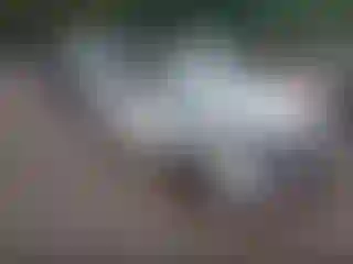 Vehicle Image- 2017 Honda Civic