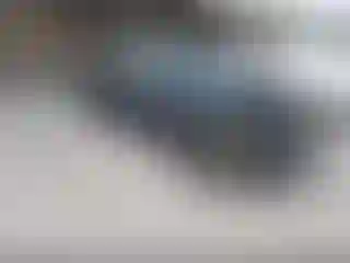 Vehicle Image- 2018 Honda Civic