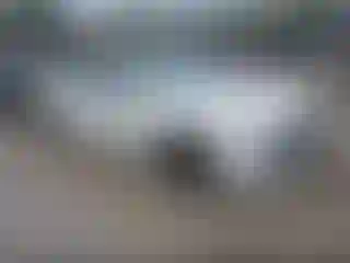 Vehicle Image- 2017 Honda Civic