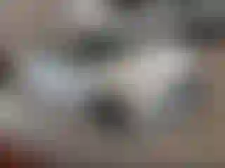 Vehicle Image- 2017 Honda Civic