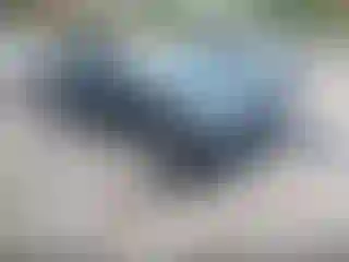 Vehicle Image- 2017 Honda Civic