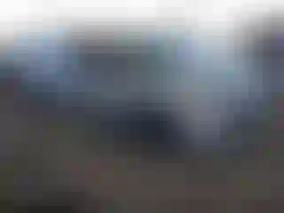 Vehicle Image- 2019 Honda Civic